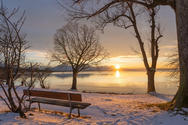 Meditation by the Lake